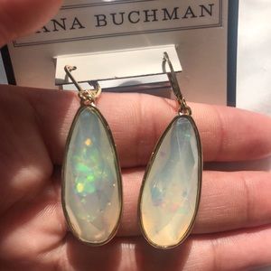 Dana Buchman iridescent drop earrings